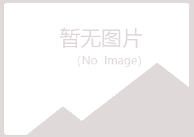 绥化晓夏能源有限公司